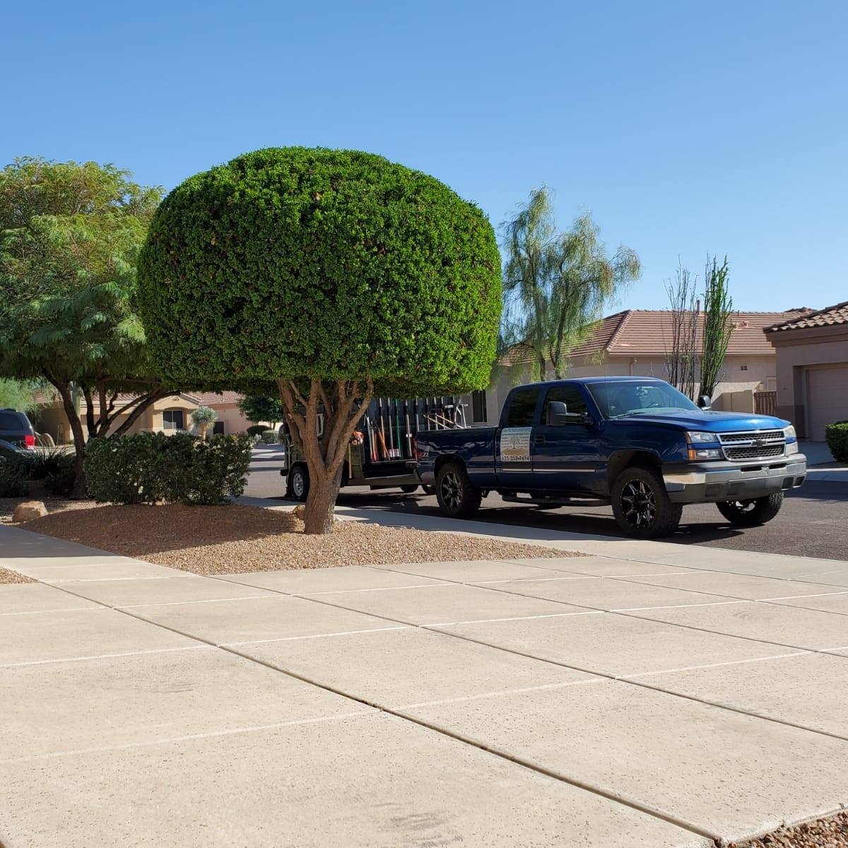 [background image] of coastal forest edge (for a maritime service)