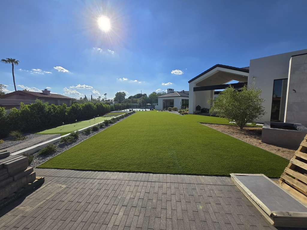 image of a freshly cleaned carpet