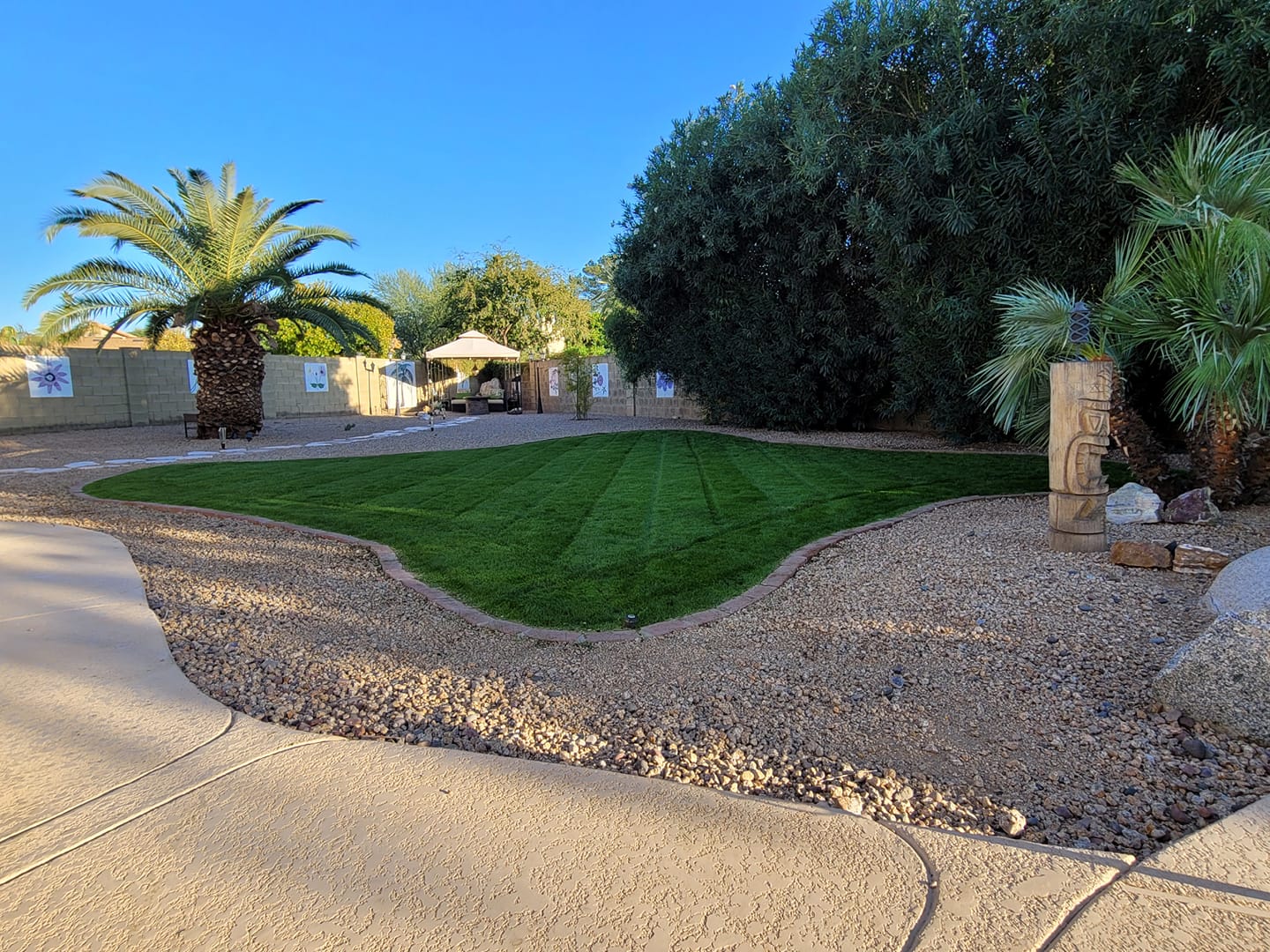 image of a freshly cleaned carpet